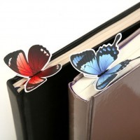    Butterfly_