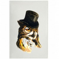 Обложка для паспорта Mr. Owl  Light