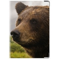 Обложка для паспорта Медведь